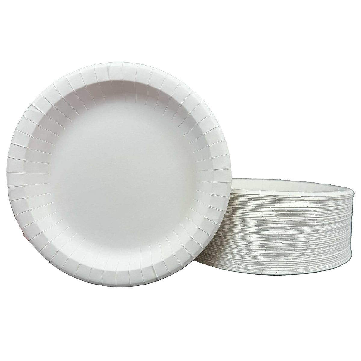 DHG Professional 10.25 inch 170 Pack Classic White Disposable Paper Pl ...